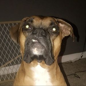 Meet your Posher, Evan